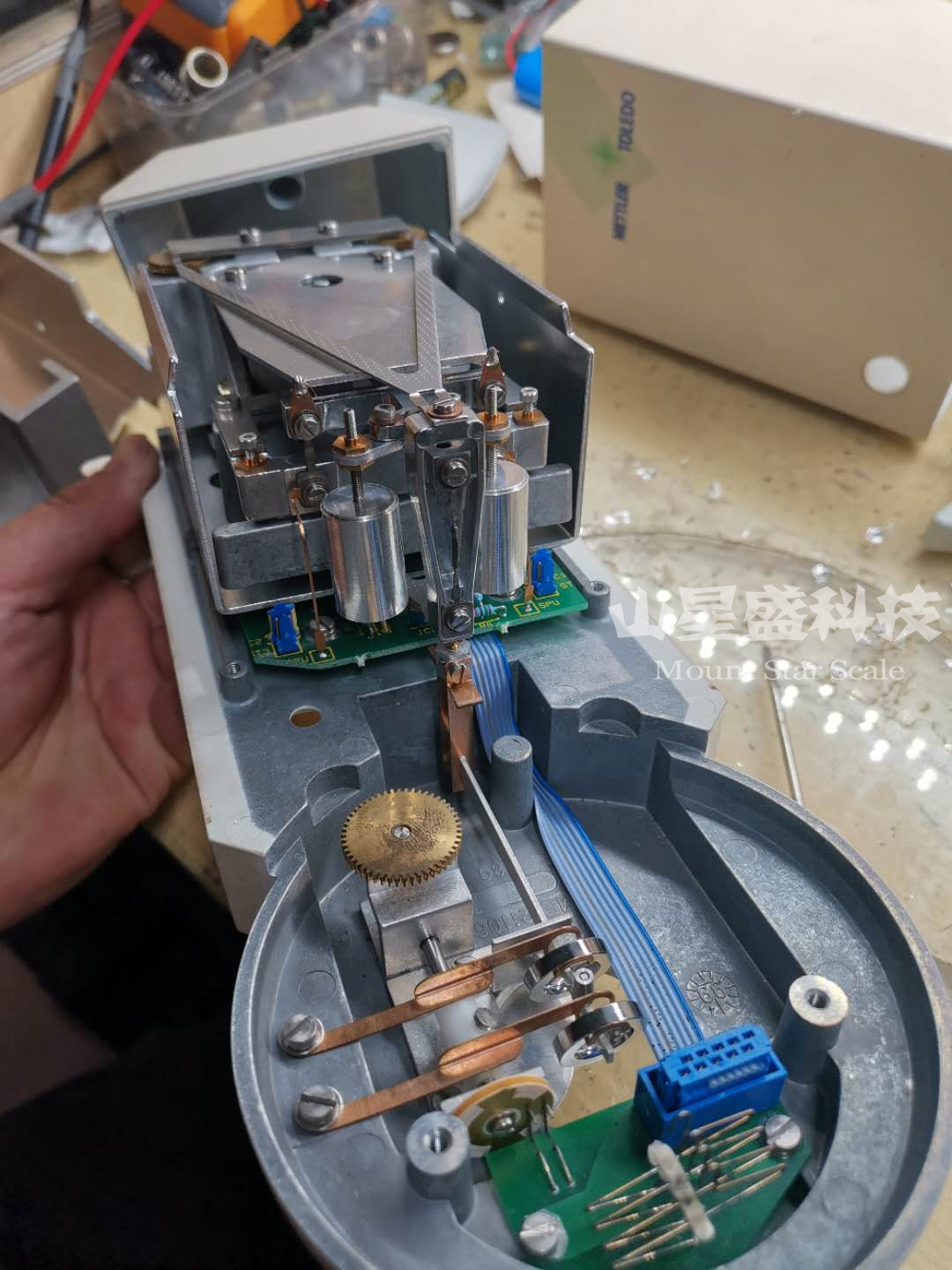 1589963189989693.png 1589963189989693.png